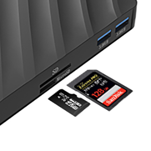 SD Card Slot and microSD Card Slot