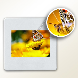 Superb Scanning Resolution