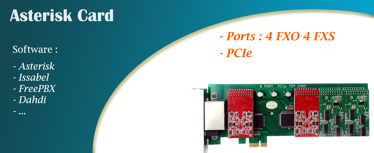 Asterisk card TDM800E