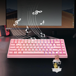 image for this item