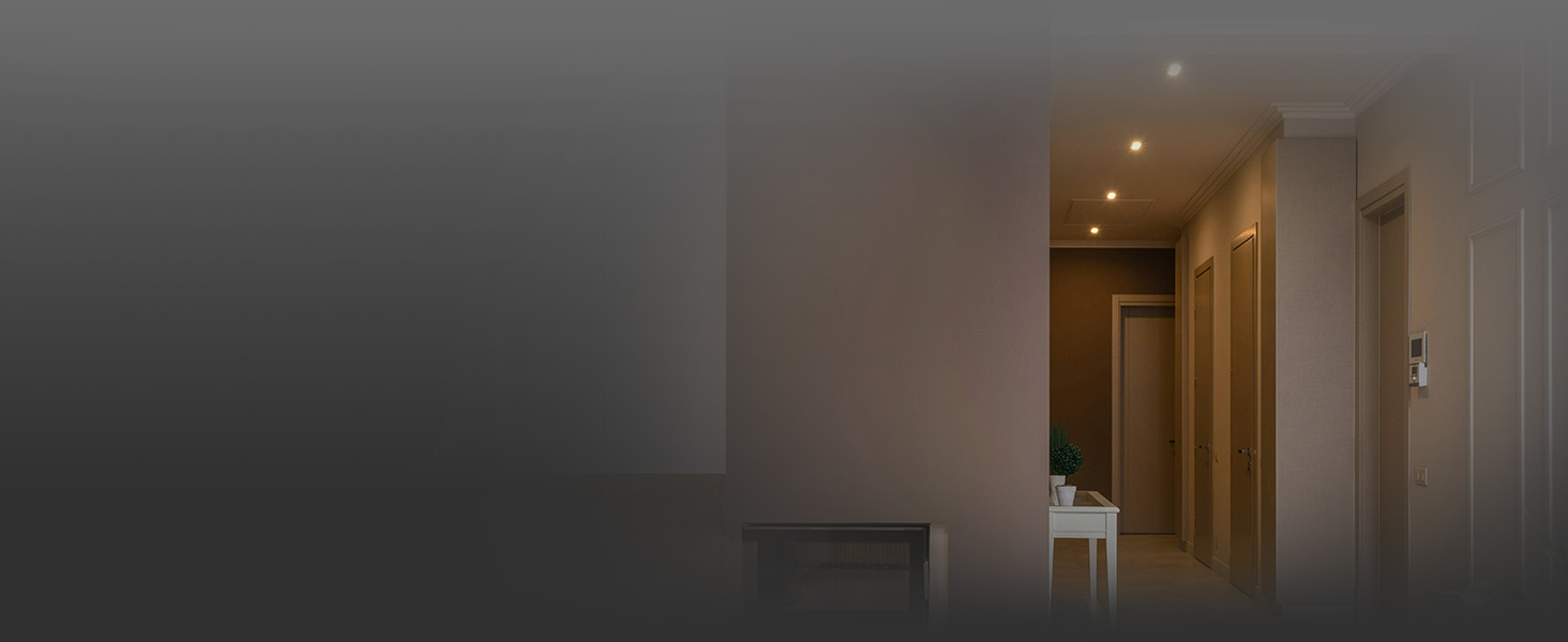 Shelly Plus Wall Dimmer - Lights Scheduling