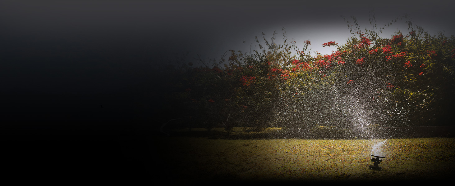 Shelly Plus 1 - Weather-based Smart Irrigation