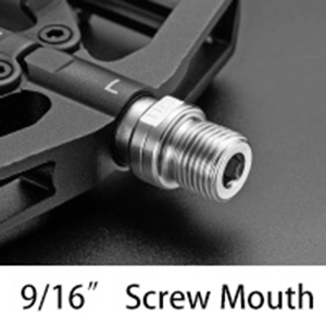 image for this item