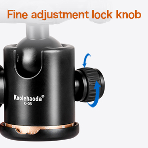 image for this item