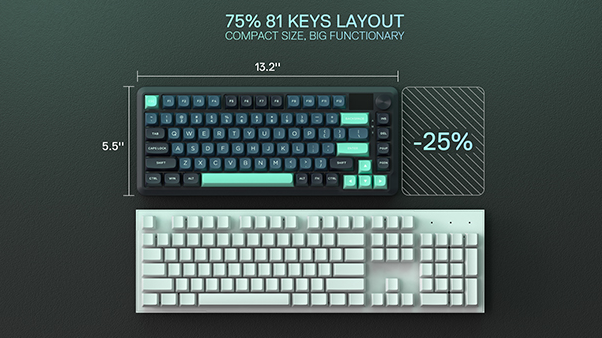 Compact Size