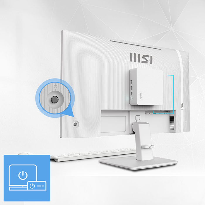 MSI PRO MP251W E14A IPS FHD Monitor