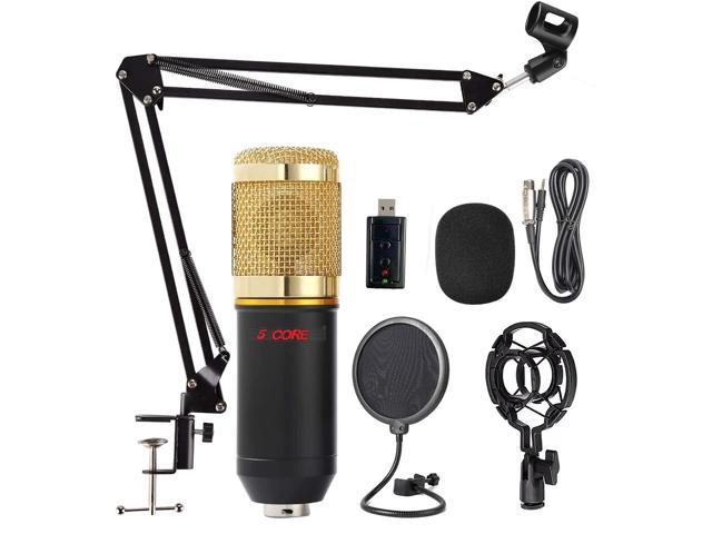 RECORDING MIC