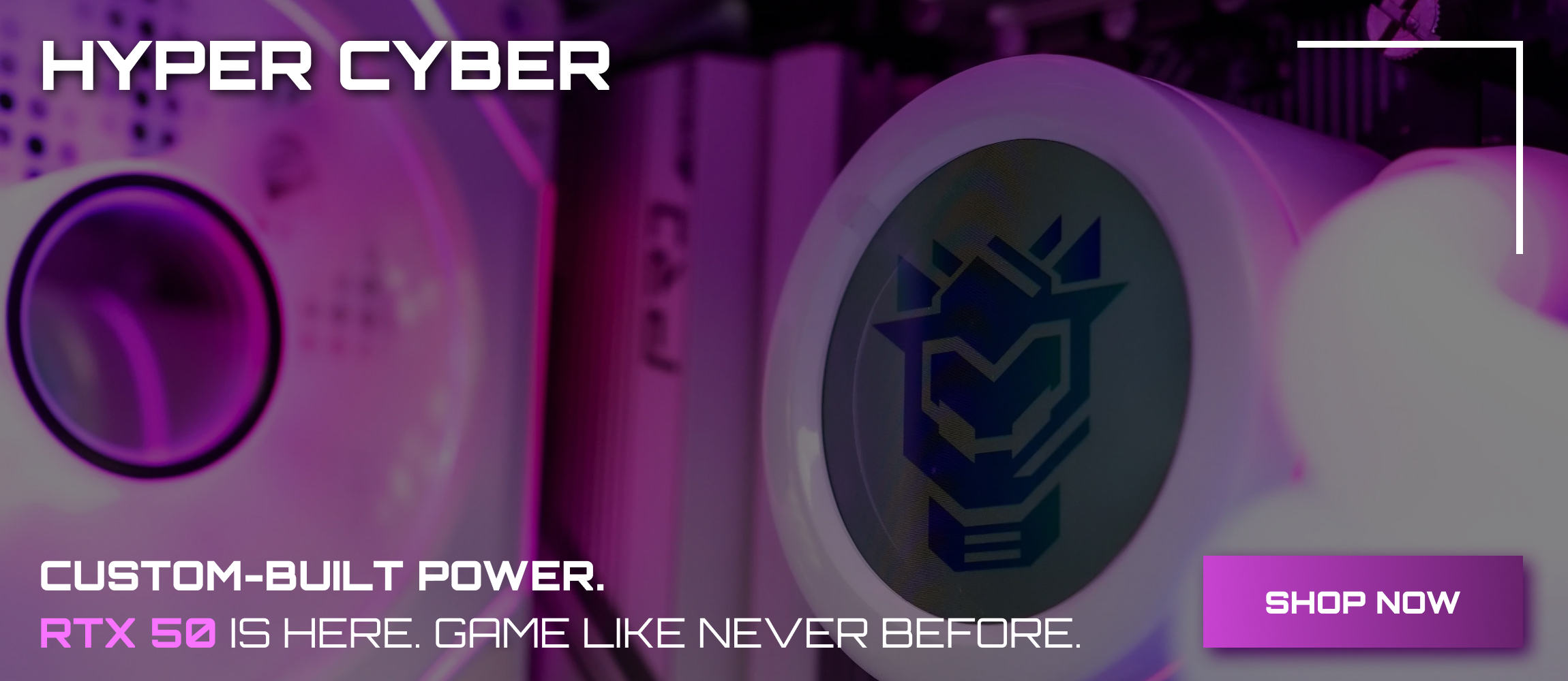 Newegg banner 3jpg