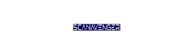 ScanAvenger Global