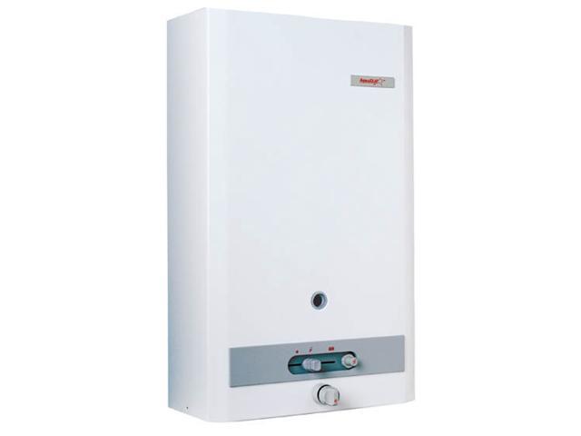 Electric Bosch Tankless Water Heater