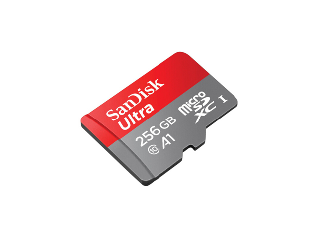 Sandisk Class 10 Micro Sdxc Card Memory Card 256gb A1 95mb S Micro