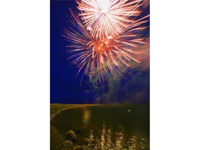 Posterazzi Dpi1777343large Fireworks In The Night Sky Poster Print By Carson Ganci 22 X 34 Large Neweggcom