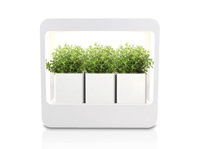 Growled Plant Grow Light Led Indoor Garden Plus Kitchen With Timer Function 24v Low Safe Voltage Ideal For Novice Or Enthusiasts