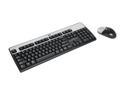 HP RC465AA#ABA USB Wired Keyboard and Mouse