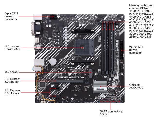 NeweggBusiness ASUS PRIME A520M A CSM AM4 AMD A520 SATA 6Gb s