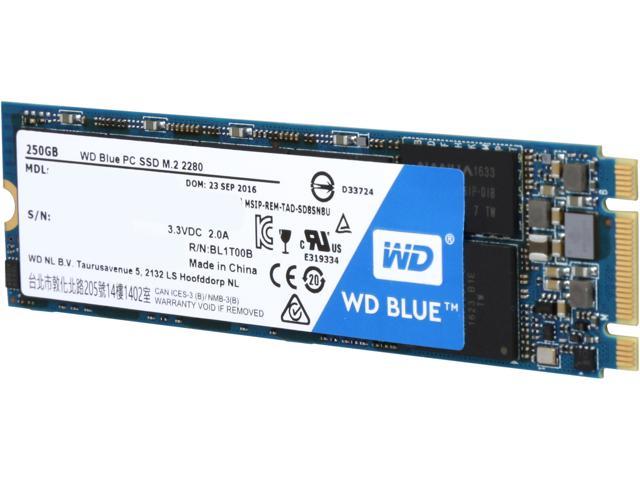 NeweggBusiness - Western Digital Blue M.2 2280 250GB 2D Internal Solid Drive (SSD) WDS250G1B0B