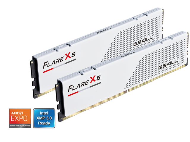 NeweggBusiness - G.SKILL Flare X5 64GB (2 x 32GB) 288-Pin PC RAM