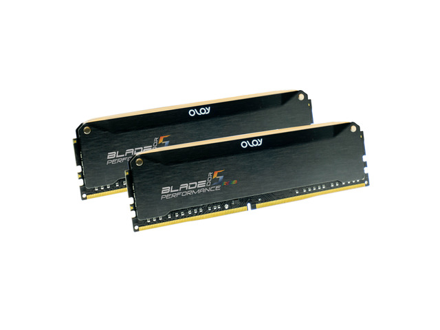 NeweggBusiness - OLOy Blade RGB (OLOY) 32GB (2 x 16GB) DDR5 6000