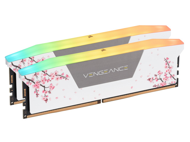 NeweggBusiness - CORSAIR Vengeance RGB 32GB (2 x 16GB) 288-Pin PC