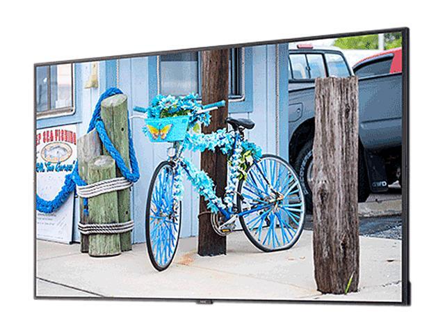 NeweggBusiness - NEC C431 43