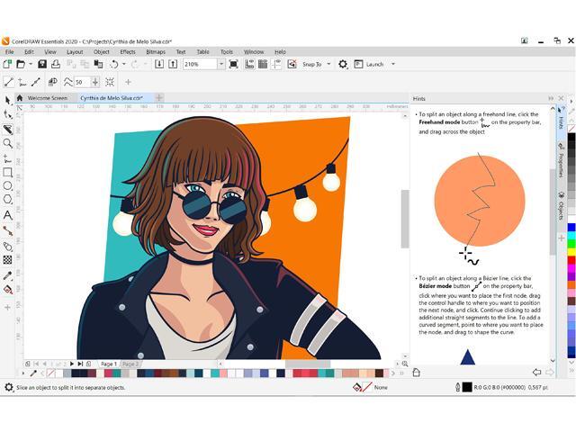 NeweggBusiness - CorelDraw Essentials 2020 - Download NeweggBusiness - CorelDraw Essentials 2020 - Download