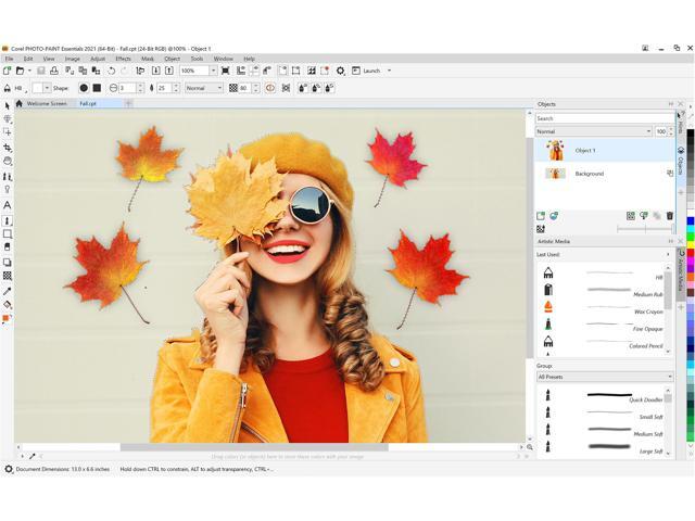 CorelDRAW Essentials 2024 - 手軽な、デザインソフト