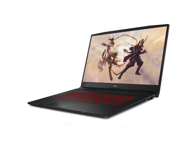 NeweggBusiness - MSI GF Series - 17.3