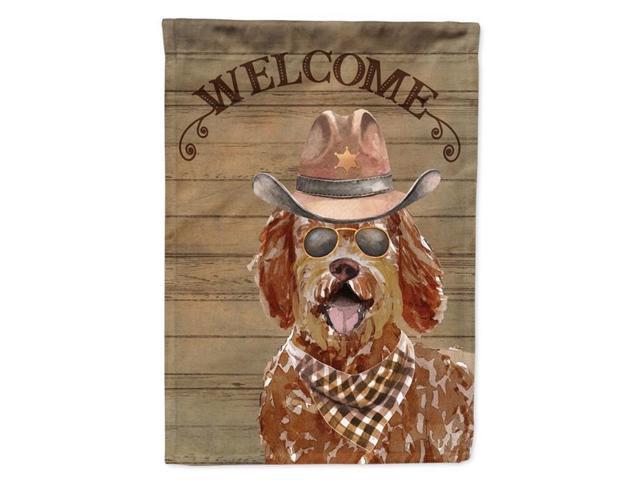 Carolines Treasures CK6338GF 11 x 001 x 15 in Labradoodle Country Dog Flag Garden Size