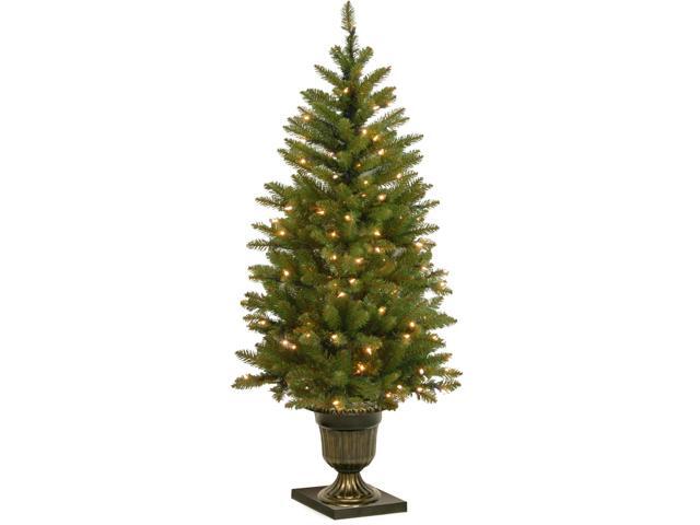 4' Pre-Lit Dunhill Fir Artificial Christmas Tree - Clear Lights