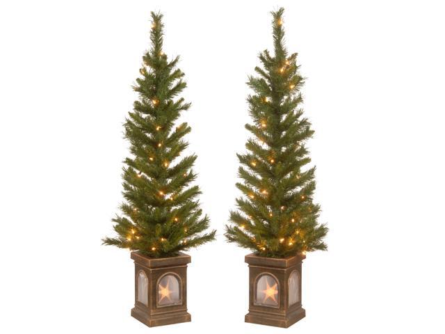 4' Pre-Lit Potted Lehigh Valley Entrance Tree with Clear Lights - Set of Two