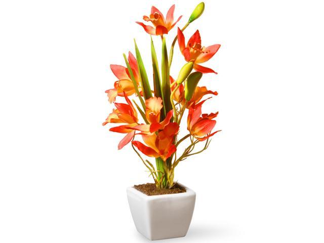 13' Potted Yellow & Orange Orchid Flowers