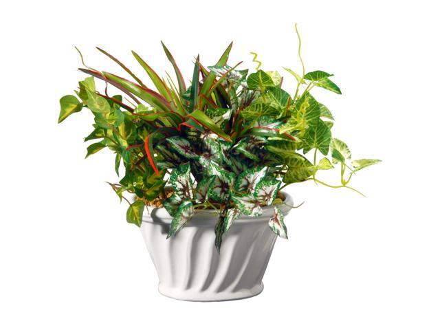 11' Assorted Green Artificial Plant with White Scalloped Pot