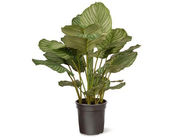 30' Garden Accents Calathea Artificial Plant in Black Pot