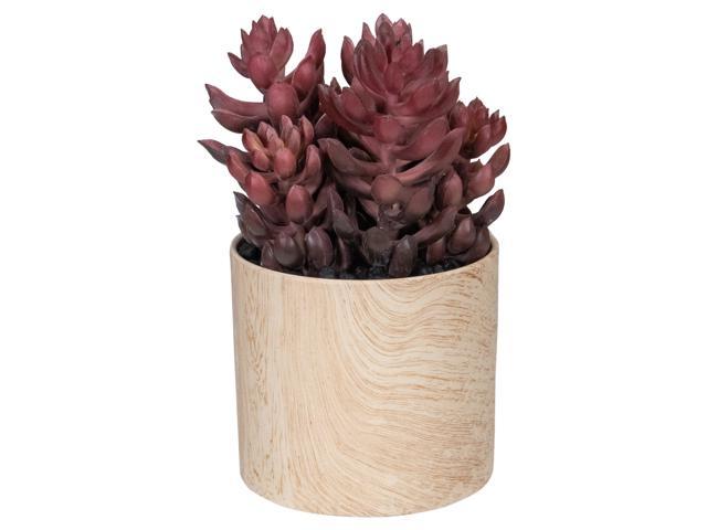 7' Purple Artificial Succulent in Faux Wood Pot