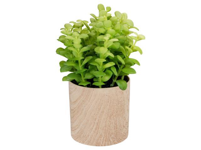 10' Green Artificial Privet Plant in Faux Wood Pot