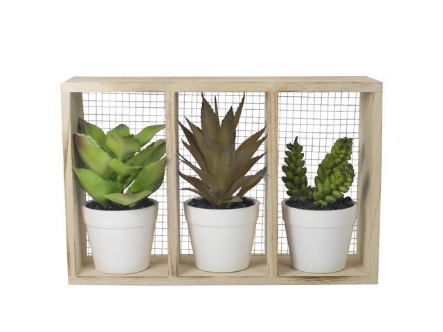 1075' Artificial Mixed Potted Succulents in Wooden Box