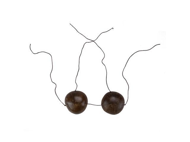 11' Brown Coconut Shell Women Adult Halloween Bra Costume Accessory - One Size