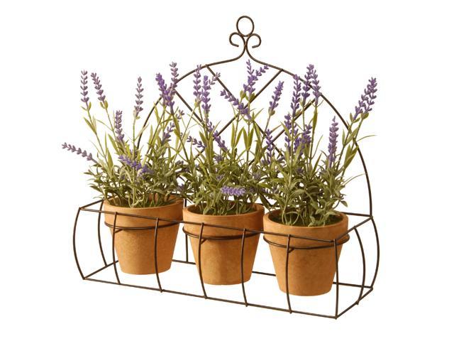 17' Potted Lavender Plants in Decorative Rack