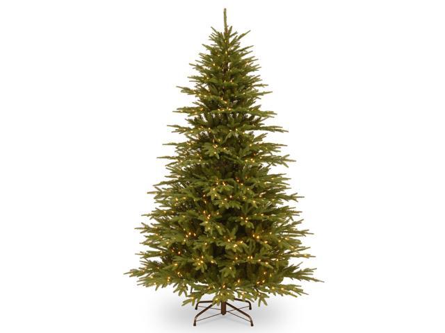 75' Pre-Lit Monterey Fir Artificial Christmas Tree - Clear Lights