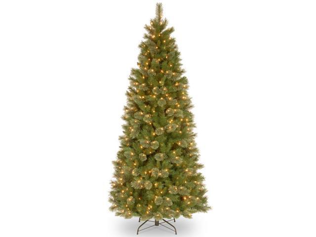 75' Pre-Lit Tacoma Pine Artificial Christmas Tree - Clear Lights