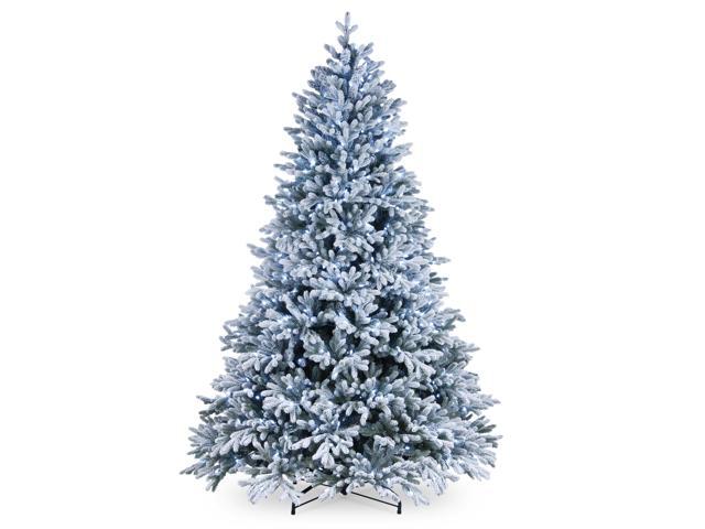 75' Pre-Lit Snowy Hamilton Spruce Artificial Christmas Tree - Cool White LED Lights