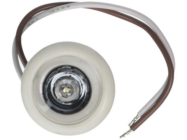 Innovative Lighting LED Bulkhead/Livewell Light The Shortie White LED w/ White G