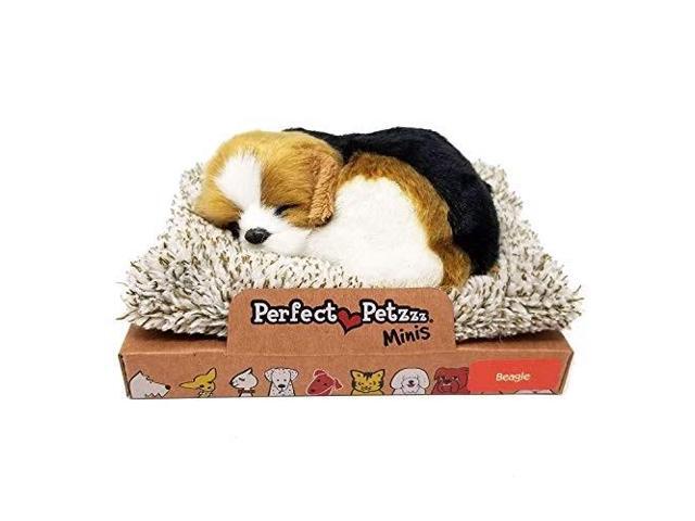 perfect petzzz mini baby beagle puppy dog