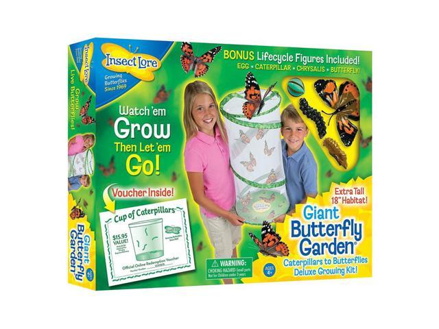 INSECT LORE GIANT BUTTERFLY GARDEN