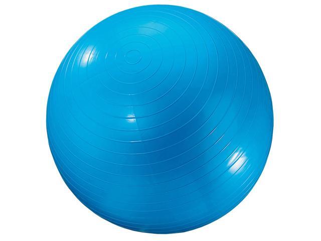 Dick Martin Sports Exercise Ball 24In Blue GYM24