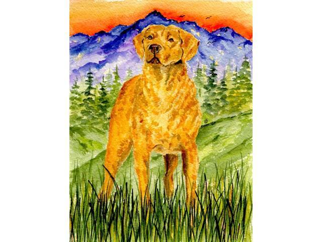 Carolines Treasures SS8449GF Chesapeake Bay Retriever Flag - Garden Size 11 x 15 in