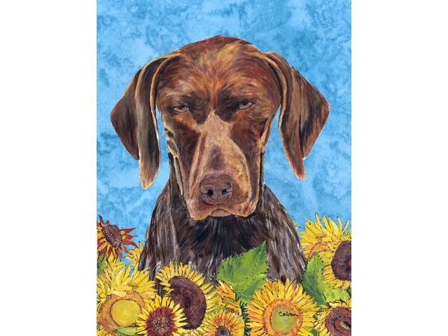 Carolines Treasures SC9053GF 11 x 15 in German Shorthaired Pointer Flag Garden Size