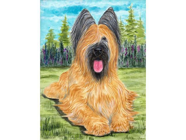 Carolines Treasures SS8035GF Briard Flag Garden Size