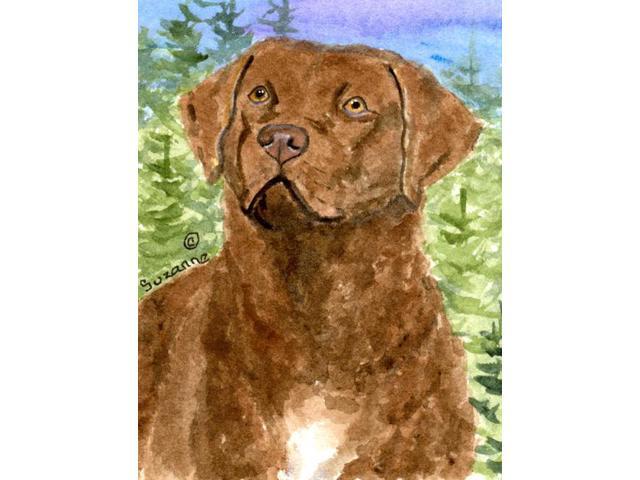 Carolines Treasures SS8933GF 11 x 15 In Chesapeake Bay Retriever Flag Garden Size