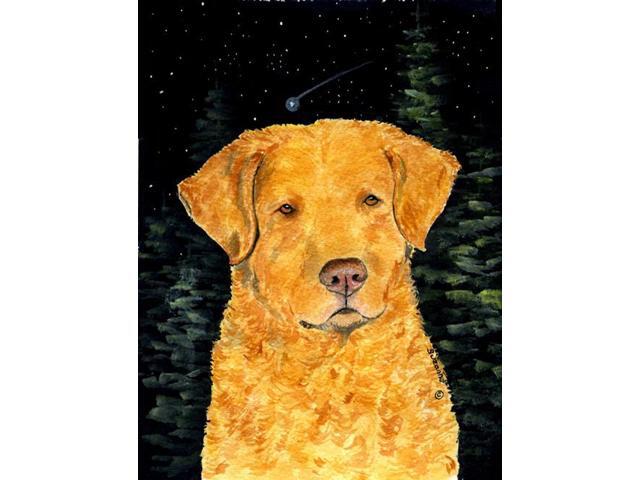 Carolines Treasures SS8487GF Starry Night Chesapeake Bay Retriever Flag - Garden Size 11 x 15 in